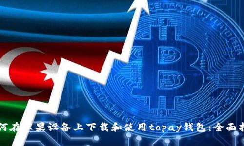 如何在苹果设备上下载和使用topay钱包：全面指南