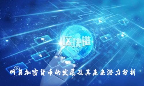 网易加密货币的发展及其未来潜力分析