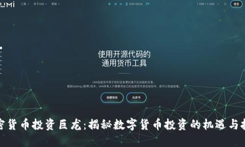 加密货币投资巨龙：揭秘数字货币投资的机遇与挑战