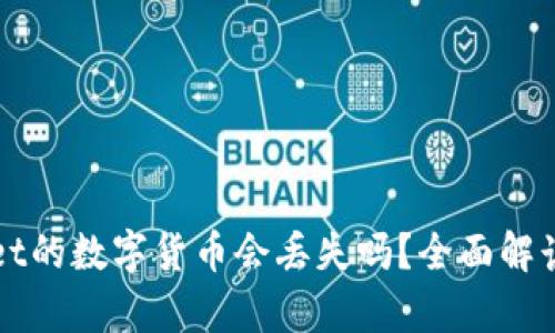 放在tpWallet的数字货币会丢失吗？全面解读和风险提示