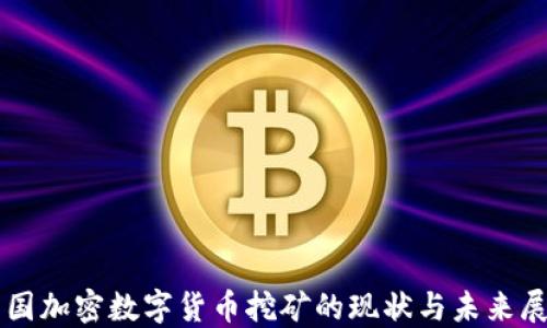 
美国加密数字货币挖矿的现状与未来展望