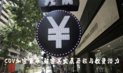 COV加密货币：解密其发展历程与投资潜力