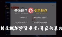 深入解析盐城加密货币案：背后的真相与反思
