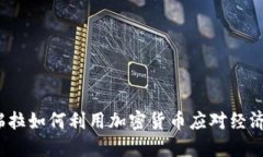 委内瑞拉如何利用加密货币应对经济危机？
