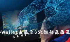 电脑版tpWallet未显示BSC链的原因及解决办法